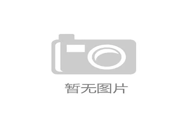2024年巴黎奥运会新增项目解析与热门比赛项目展望