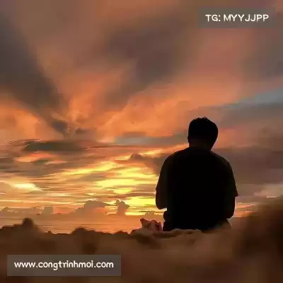 凤元卉